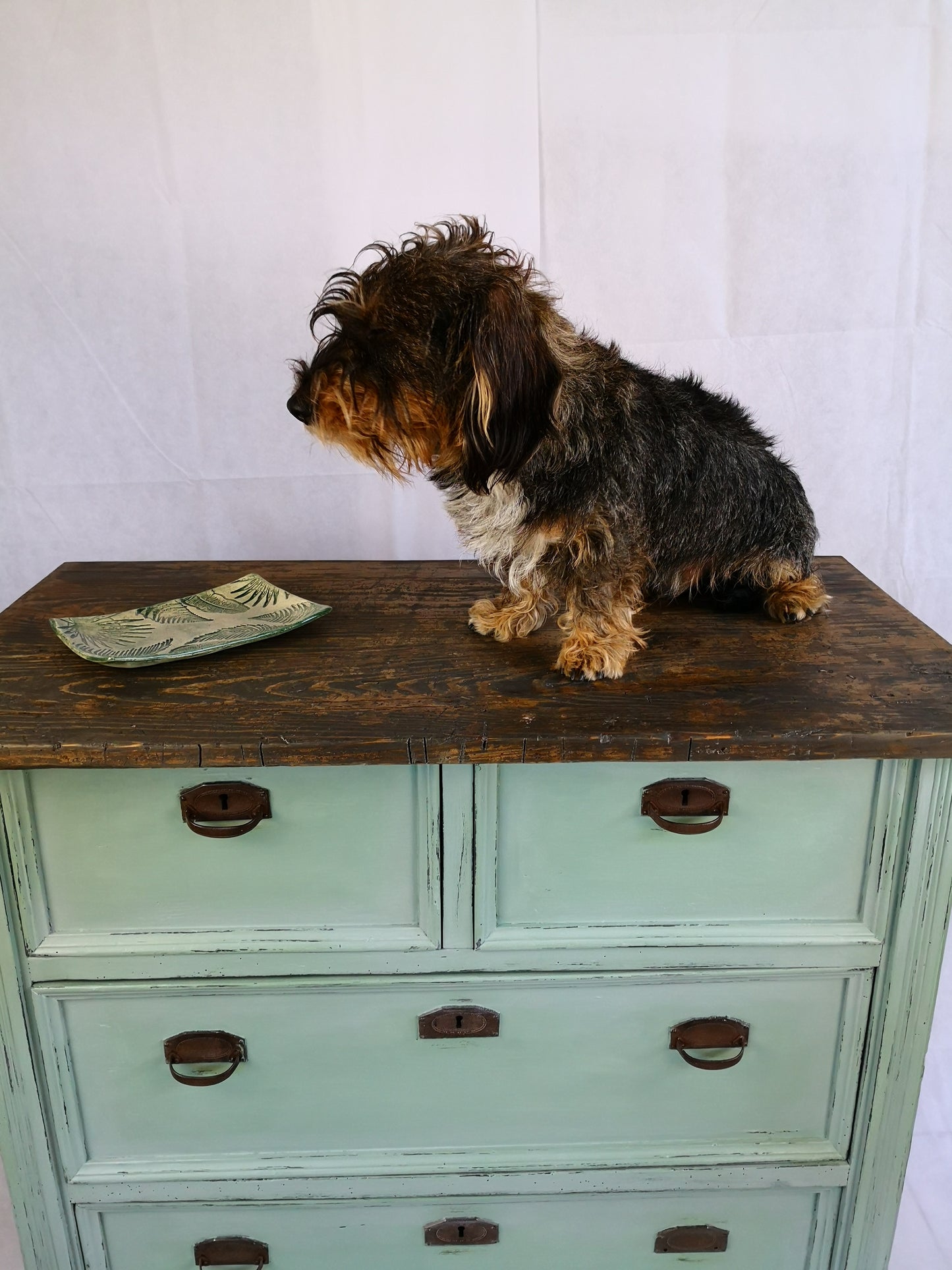 Antike Kommode mit Schubladen restyle in Curacao Green
